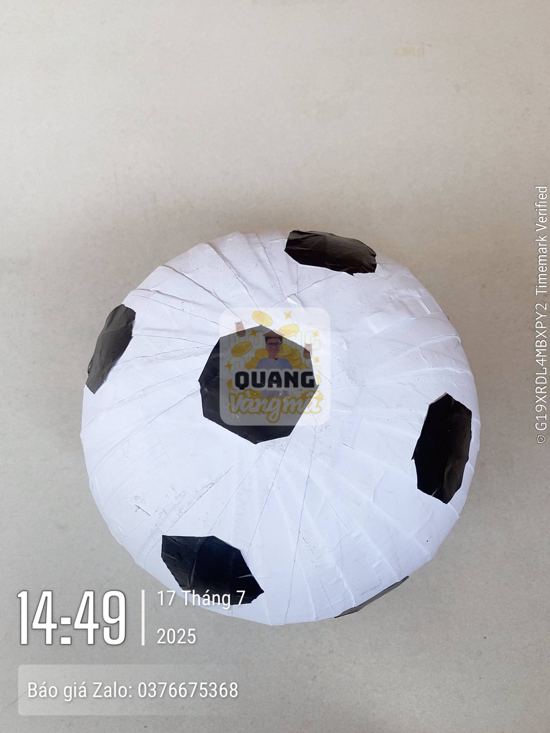 Quả bóng đá